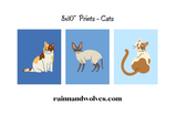 8x10” Prints - Cats