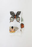 Clementine Kids Butterfly Collector Swaddle
